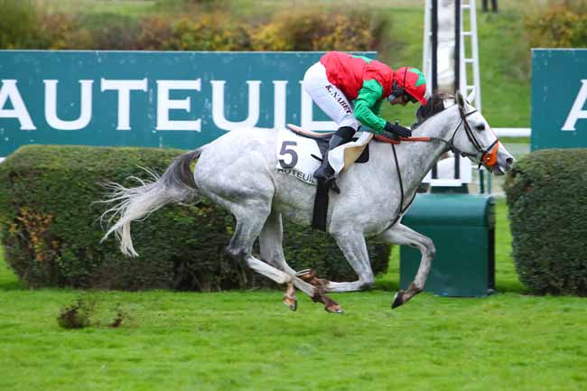 Photo d'arrivée de la course pmu PRIX MAURICE GILLOIS - GRAND STEEPLE-CHASE DES 4 ANS à AUTEUIL le Dimanche 8 novembre 2020