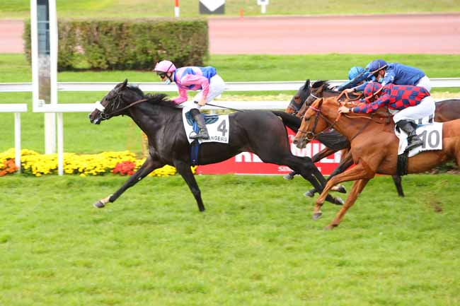Photo d'arrivée de la course pmu PRIX DE BOUCHEMAINE à ANGERS le Lundi 9 novembre 2020