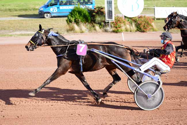 Photo d'arrivée de la course pmu GRAND PRIX DYNAVENA MAISAGRI à BORDEAUX-LE BOUSCAT le Mardi 10 novembre 2020