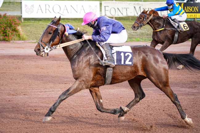 Photo d'arrivée de la course pmu PRIX FANDANGO à BORDEAUX-LE BOUSCAT le Mardi 10 novembre 2020