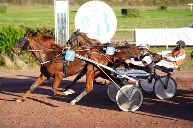 Photo d'arrivée de la course pmu PRIX MARQUISE DE MORATALLA à BORDEAUX-LE BOUSCAT le Mardi 10 novembre 2020