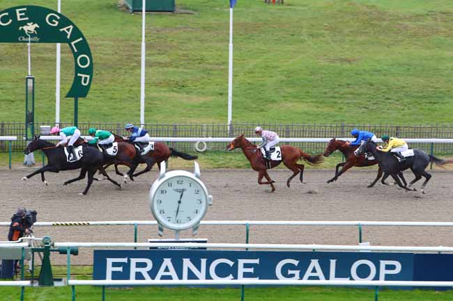 Photo d'arrivée de la course pmu PRIX DE LA CROIX MARQUET à CHANTILLY le Mardi 10 novembre 2020