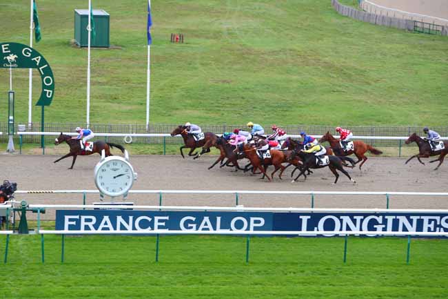 Photo d'arrivée de la course pmu PRIX DU CARRE DE DRESSAGE à CHANTILLY le Mardi 10 novembre 2020