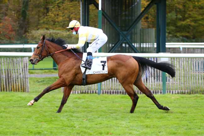 Photo d'arrivée de la course pmu PRIX YACOWLEF à CHANTILLY le Mardi 10 novembre 2020