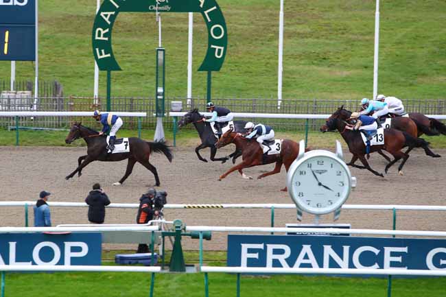 Photo d'arrivée de la course pmu PRIX DU ROND DE DEBOURRAGE à CHANTILLY le Mardi 10 novembre 2020