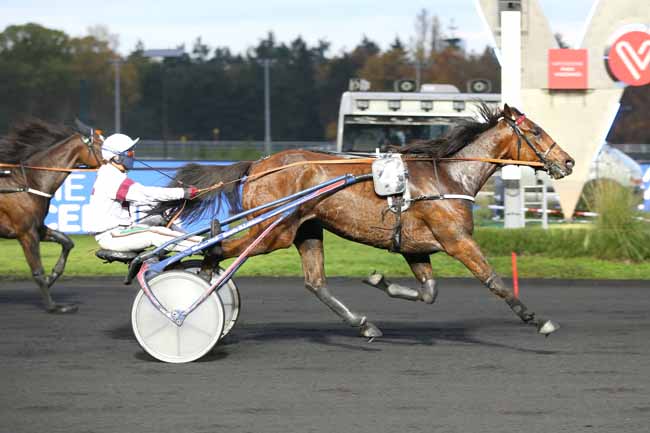Photo d'arrivée de la course pmu PRIX FLORENTINA à PARIS-VINCENNES le Mardi 10 novembre 2020