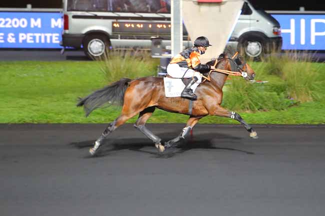 Photo d'arrivée de la course pmu PRIX PSYCHE à PARIS-VINCENNES le Mardi 10 novembre 2020