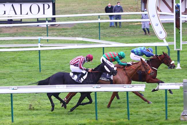 Photo d'arrivée de la course pmu PRIX DANIEL MERLE à COMPIEGNE le Mercredi 11 novembre 2020