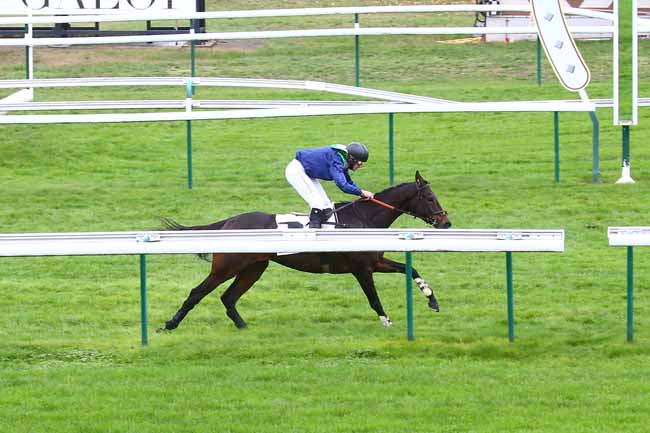 Photo d'arrivée de la course pmu PRIX DU SIMPLON à COMPIEGNE le Mercredi 11 novembre 2020