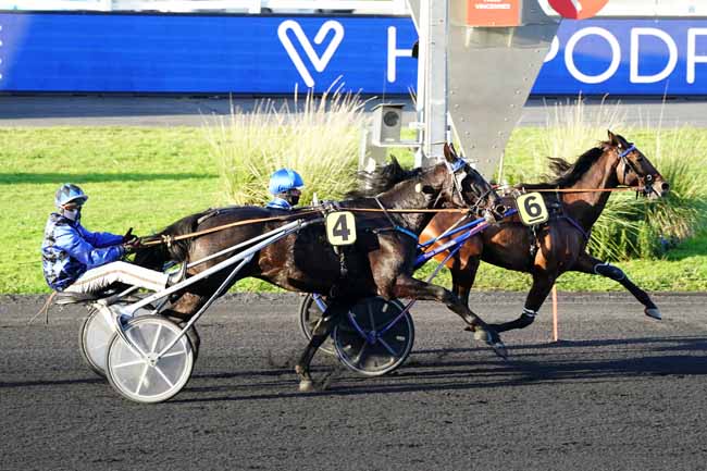 Photo d'arrivée de la course pmu PRIX D'ANNECY à PARIS-VINCENNES le Jeudi 12 novembre 2020