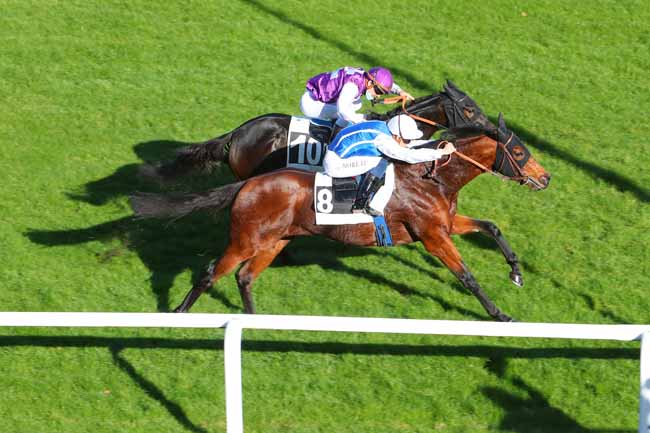 Photo d'arrivée de la course pmu PRIX DES CHARMILLES à FONTAINEBLEAU le Jeudi 12 novembre 2020
