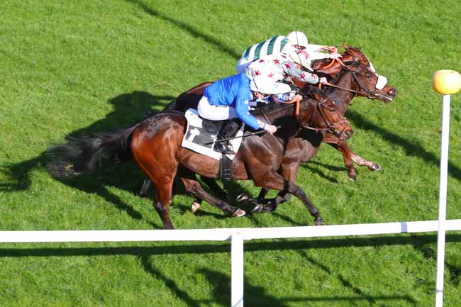 Photo d'arrivée de la course pmu PRIX CONTESSINA à FONTAINEBLEAU le Jeudi 12 novembre 2020