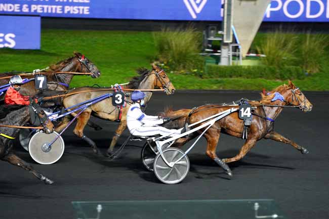 Photo d'arrivée de la course pmu PRIX THISBE à PARIS-VINCENNES le Vendredi 13 novembre 2020