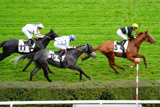 Photo d'arrivée de la course pmu PRIX DU HARAS D'OUILLY à SAINT-CLOUD le Vendredi 13 novembre 2020