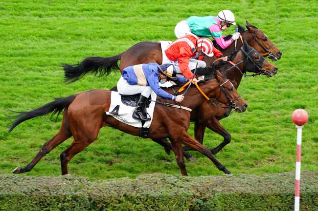 Photo d'arrivée de la course pmu PRIX DU MESNIL-VILLEMENT à SAINT-CLOUD le Vendredi 13 novembre 2020