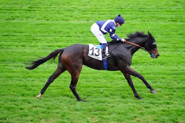 Photo d'arrivée de la course pmu PRIX DE RODEZ à SAINT-CLOUD le Vendredi 13 novembre 2020