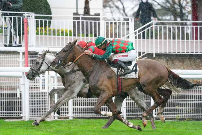 Photo d'arrivée de la course pmu PRIX RENAUD DU VIVIER - GRANDE COURSE DE HAIES DES 4 ANS à AUTEUIL le Dimanche 15 novembre 2020