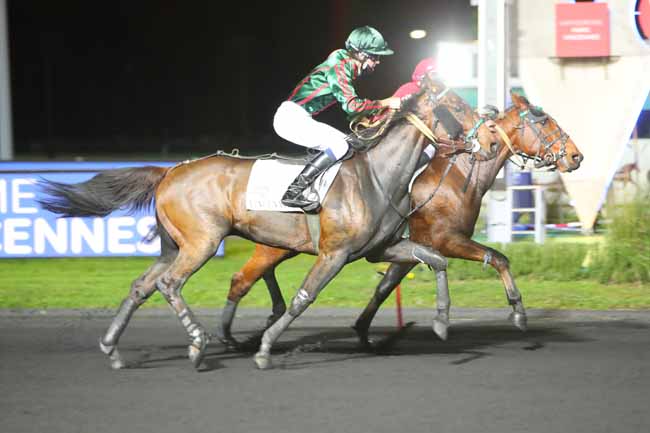 Photo d'arrivée de la course pmu PRIX HESTIA à PARIS-VINCENNES le Mardi 17 novembre 2020