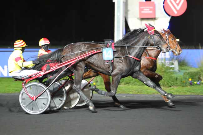 Photo d'arrivée de la course pmu PRIX POLYXO à PARIS-VINCENNES le Mardi 17 novembre 2020