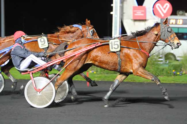 Photo d'arrivée de la course pmu PRIX HERMENTARIA à PARIS-VINCENNES le Vendredi 20 novembre 2020