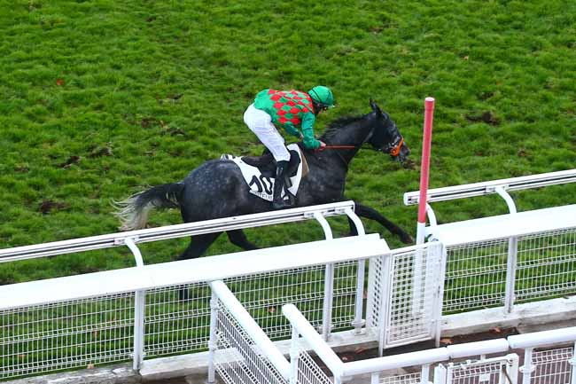 Photo d'arrivée de la course pmu PRIX BOUM à AUTEUIL le Samedi 21 novembre 2020