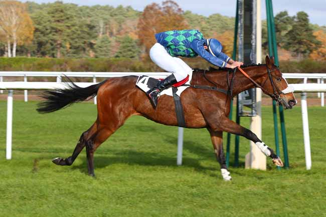 Photo d'arrivée de la course pmu PRIX PRINCESSE D'ANJOU à FONTAINEBLEAU le Lundi 23 novembre 2020