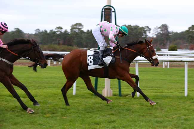 Photo d'arrivée de la course pmu GRAND STEEPLE-CHASE DE LA SOLLE - PRIX COMPAGNIE LES ARLEQUINS à FONTAINEBLEAU le Lundi 23 novembre 2020