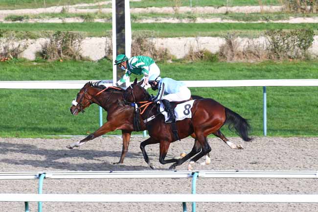 Photo d'arrivée de la course pmu PRIX DES COGNASSIERS à DEAUVILLE le Mardi 24 novembre 2020
