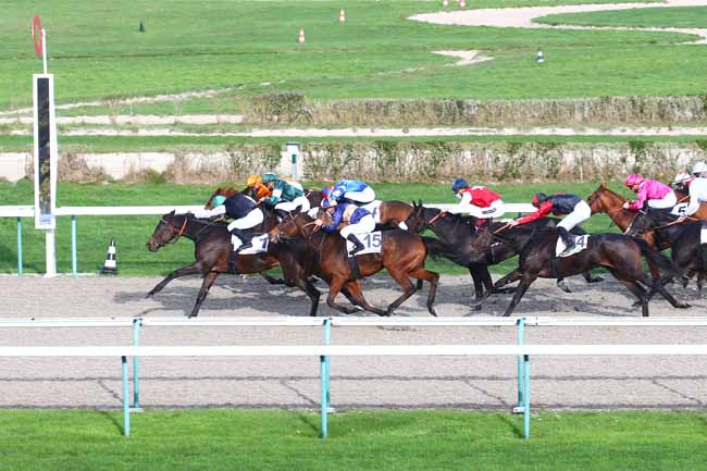 Photo d'arrivée de la course pmu PRIX DES POMMIERS à DEAUVILLE le Mardi 24 novembre 2020