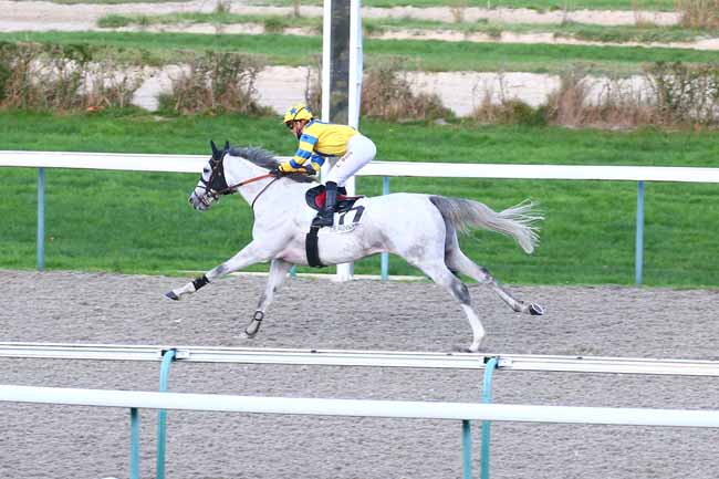 Photo d'arrivée de la course pmu PRIX DES POIRIERS à DEAUVILLE le Mardi 24 novembre 2020