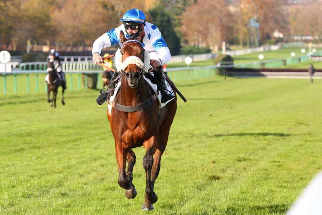 Photo d'arrivée de la course pmu PRIX VERTIGE à COMPIEGNE le Mardi 24 novembre 2020