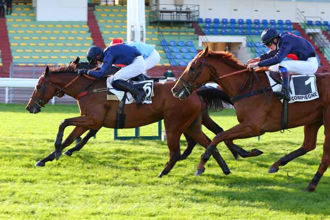 Photo d'arrivée de la course pmu PRIX DE CRAON à COMPIEGNE le Mardi 24 novembre 2020