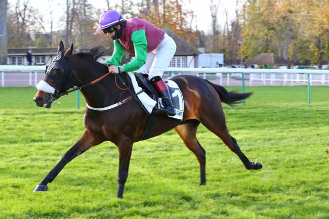 Photo d'arrivée de la course pmu PRIX DU TREPORT à COMPIEGNE le Mardi 24 novembre 2020