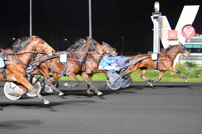 Photo d'arrivée de la course pmu PRIX BRASILIA à PARIS-VINCENNES le Mardi 24 novembre 2020