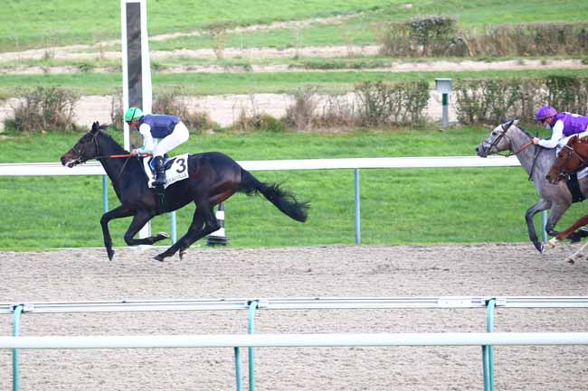 Photo d'arrivée de la course pmu PRIX HERNANDO à DEAUVILLE le Mercredi 25 novembre 2020