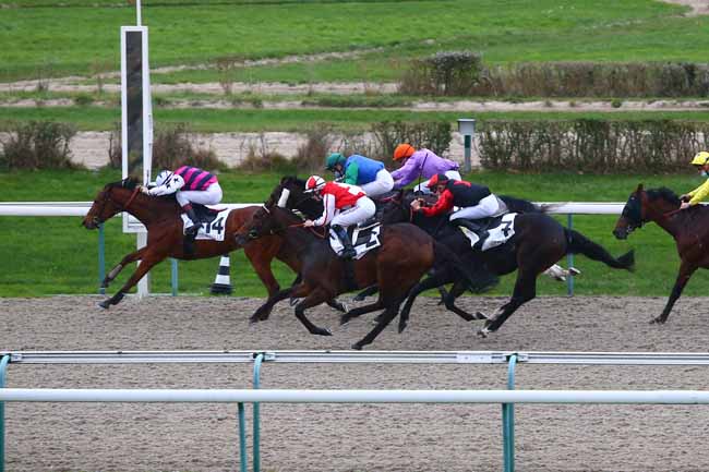 Photo d'arrivée de la course pmu PRIX DU PAYS DE CAUX à DEAUVILLE le Mercredi 25 novembre 2020