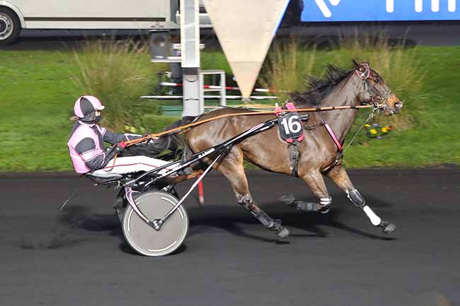 Photo d'arrivée de la course pmu PRIX ELECTRA à PARIS-VINCENNES le Vendredi 27 novembre 2020