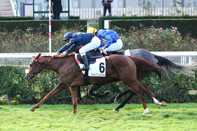 Photo d'arrivée de la course pmu PRIX JACQUES DE VIENNE à SAINT-CLOUD le Vendredi 27 novembre 2020