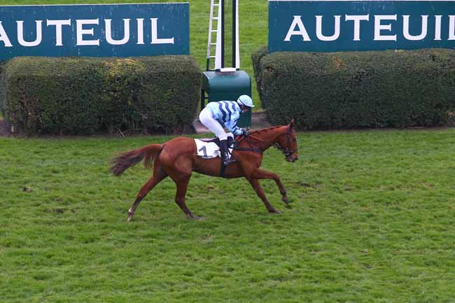 Photo d'arrivée de la course pmu PRIX COQ GAULOIS à AUTEUIL le Dimanche 29 novembre 2020