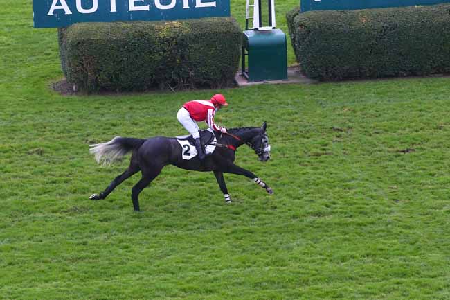 Photo d'arrivée de la course pmu PRIX MORGEX à AUTEUIL le Dimanche 29 novembre 2020