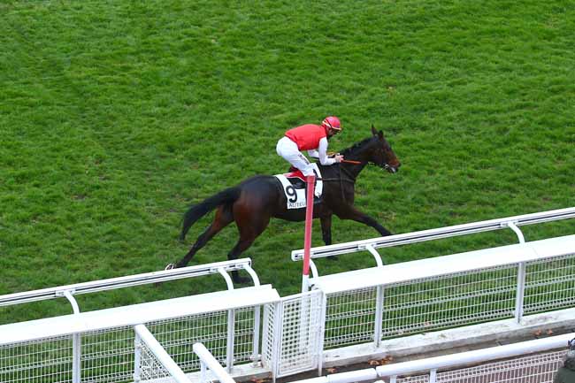 Photo d'arrivée de la course pmu PRIX FIFRELET à AUTEUIL le Dimanche 29 novembre 2020