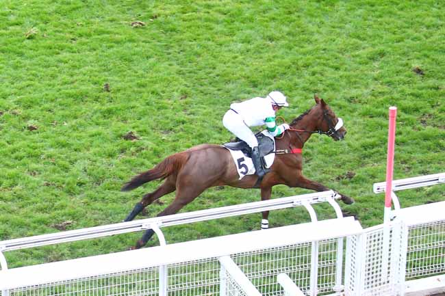 Photo d'arrivée de la course pmu PRIX ANDRE MICHEL à AUTEUIL le Dimanche 29 novembre 2020