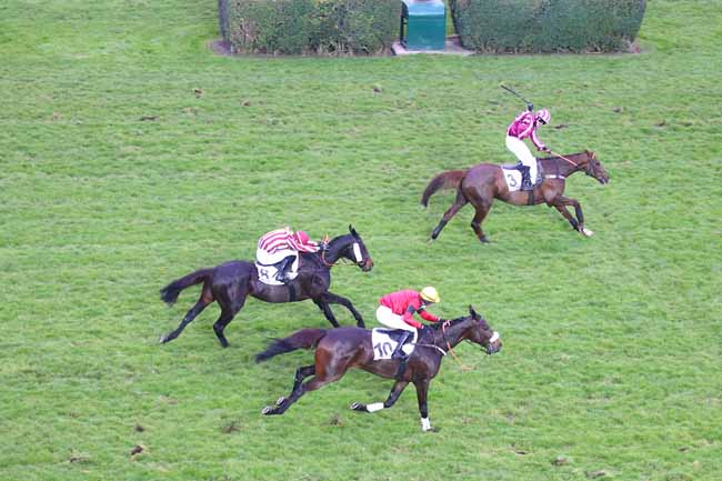 Photo d'arrivée de la course pmu PRIX LA HAYE JOUSSELIN à AUTEUIL le Dimanche 29 novembre 2020
