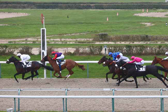 Photo d'arrivée de la course pmu PRIX D'ENGERVILLE à DEAUVILLE le Lundi 30 novembre 2020