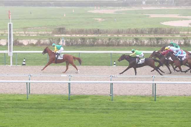 Photo d'arrivée de la course pmu PRIX L'ANCRE à DEAUVILLE le Lundi 30 novembre 2020