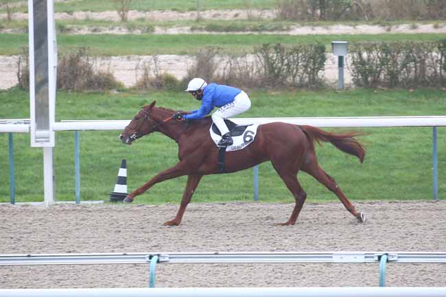Photo d'arrivée de la course pmu PRIX DE MONTFORT à DEAUVILLE le Lundi 30 novembre 2020
