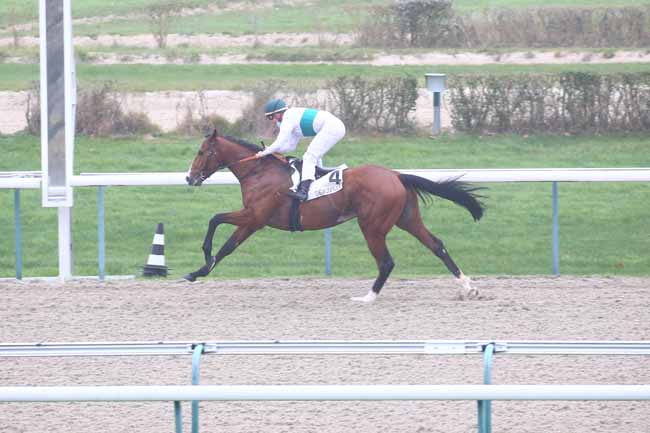 Photo d'arrivée de la course pmu PRIX D'ANGEVILLE à DEAUVILLE le Lundi 30 novembre 2020