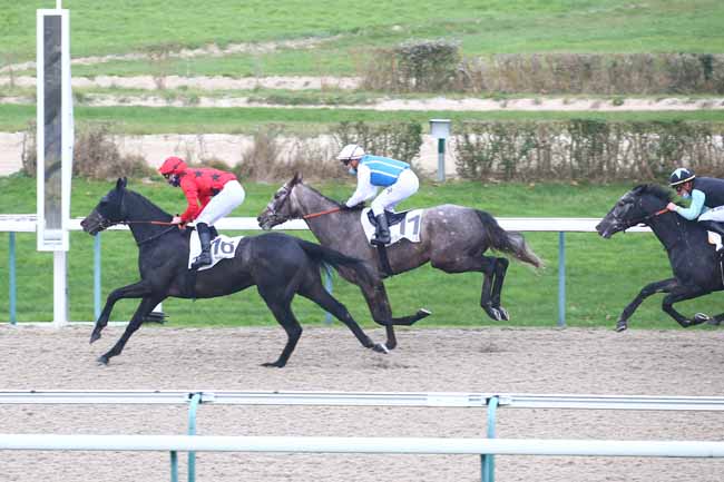 Photo d'arrivée de la course pmu PRIX DU BERGERET à DEAUVILLE le Lundi 30 novembre 2020