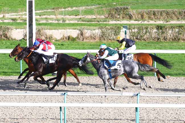 Photo d'arrivée de la course pmu PRIX DE JUNO BEACH à DEAUVILLE le Mardi 1 décembre 2020