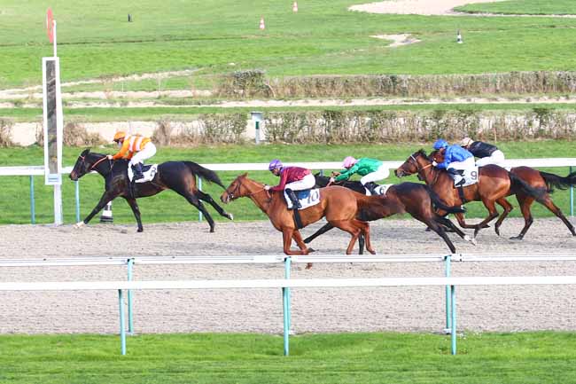 Photo d'arrivée de la course pmu PRIX DE LA PISCINE OLYMPIQUE à DEAUVILLE le Mardi 1 décembre 2020